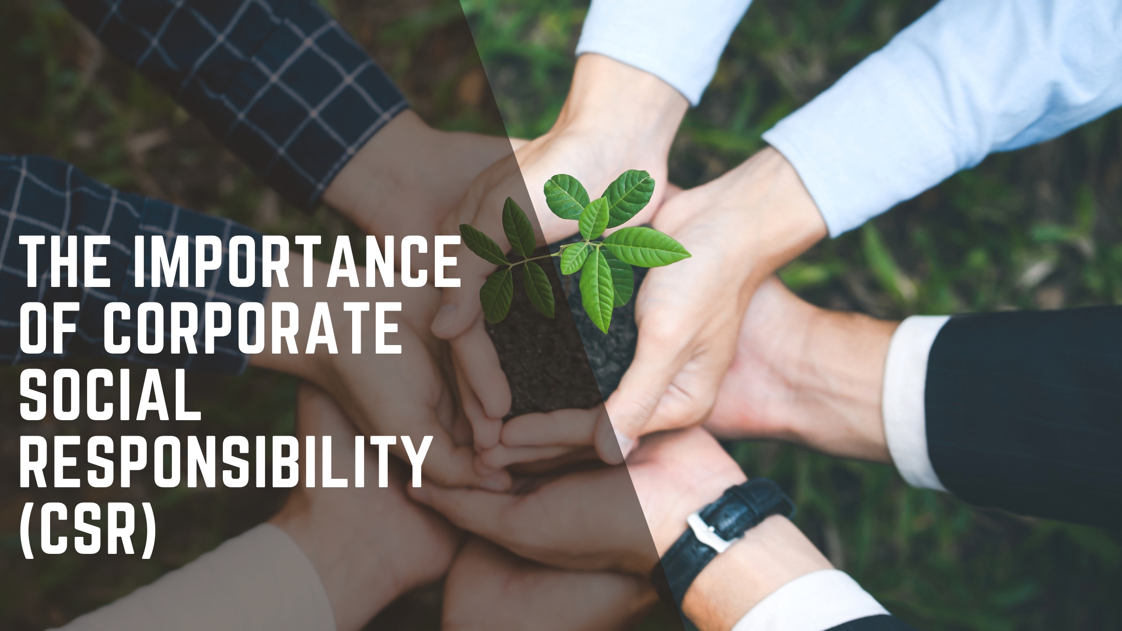 You are currently viewing The Importance Of Corporate Social Responsibility (CSR)